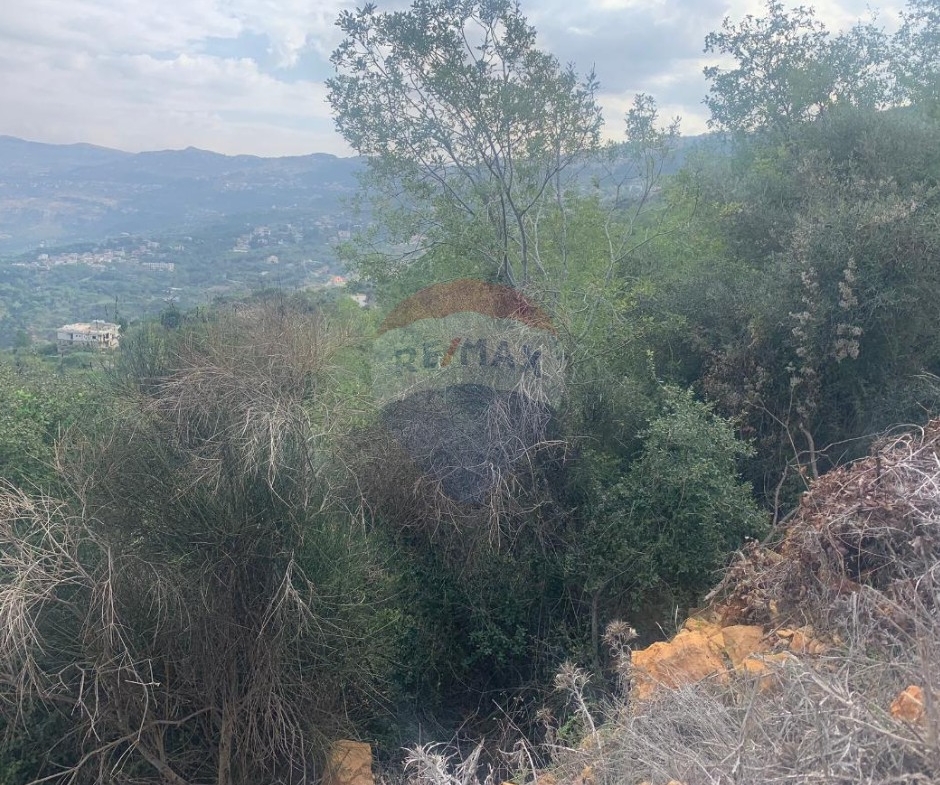 R9-3636 Land for Sale in Baabda – 1,100 m², Residential Zoning, 4 Floors أرض للبيع في بعبدا – 1,100 م²، تصنيف سكني، 4 طوابق — Photo 4 of 6