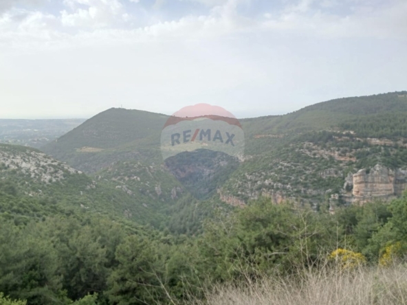 R9-3651 Land for Sale in Kosba – Koura, 1157 m² Residential, Zoning 25/50, Main Street Frontageأرض للبيع في كوسبا الكورة – 1157 م² سكنية، تصنيف 25/50، واجهة على الشارع الرئيسي — Photo 4 of 5