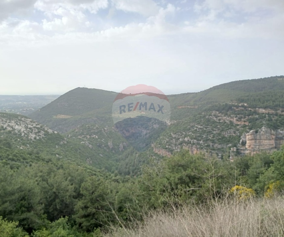 R9-3651 Land for Sale in Kosba – Koura, 1157 m² Residential, Zoning 25/50, Main Street Frontageأرض للبيع في كوسبا الكورة – 1157 م² سكنية، تصنيف 25/50، واجهة على الشارع الرئيسي — Photo 4 of 5