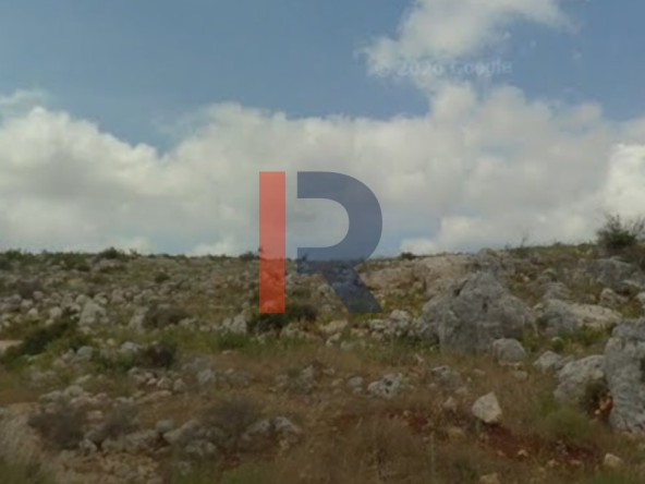 الصورة 1 من 5