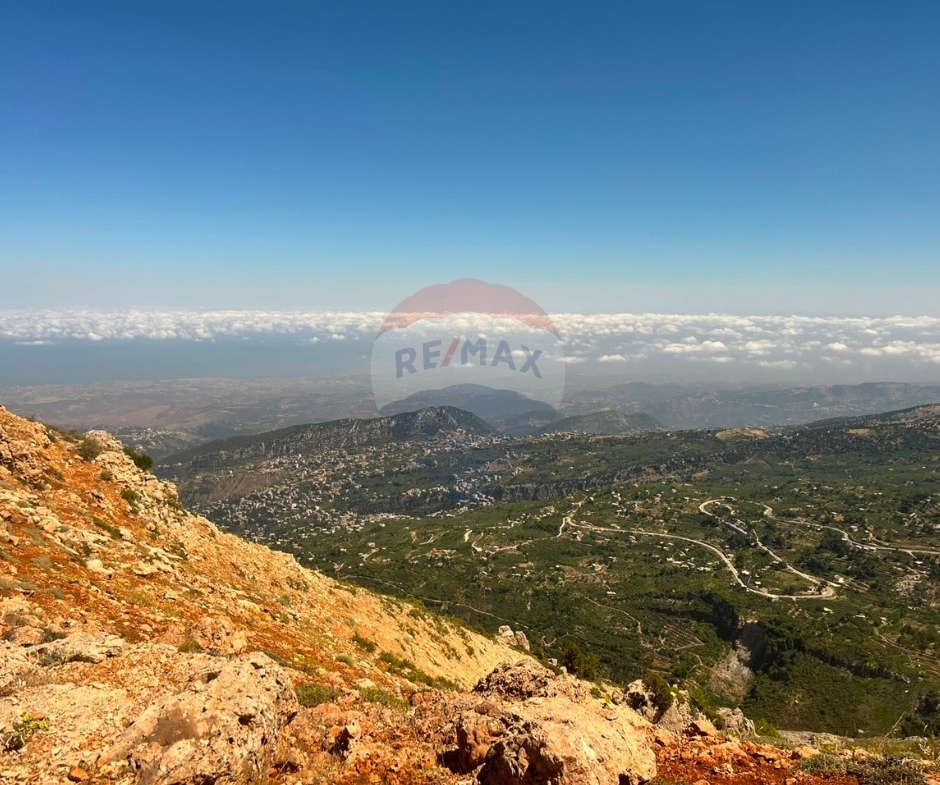 R9-3605 أرض للبيع في جرد النجاص الضنية – 15,600 م²، تصنيف 20/40 — الصورة 5 من 5