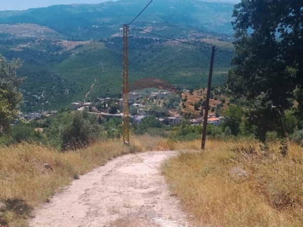 R9-3611 Land for Sale in Sandyana – Akkar, 5429 m²  أرض للبيع في سنديانة عكار – 5429 م² — Photo 5 of 5