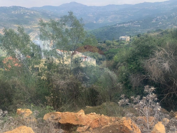 R9-3636 Land for Sale in Baabda – 1,100 m², Residential Zoning, 4 Floors أرض للبيع في بعبدا – 1,100 م²، تصنيف سكني، 4 طوابق — Photo 5 of 6
