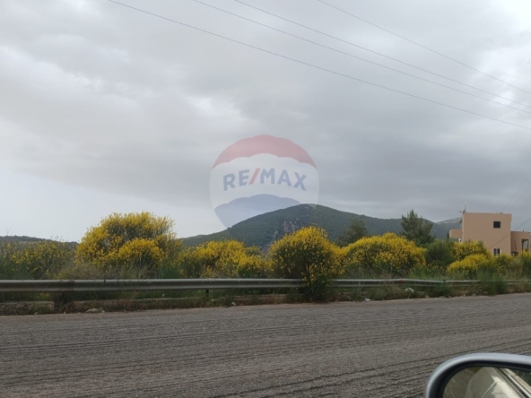 R9-3651 Land for Sale in Kosba – Koura, 1157 m² Residential, Zoning 25/50, Main Street Frontageأرض للبيع في كوسبا الكورة – 1157 م² سكنية، تصنيف 25/50، واجهة على الشارع الرئيسي — Photo 5 of 5