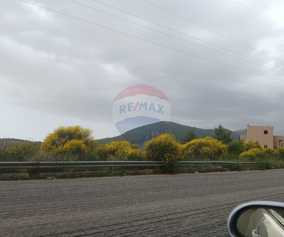 R9-3651 Land for Sale in Kosba – Koura, 1157 m² Residential, Zoning 25/50, Main Street Frontageأرض للبيع في كوسبا الكورة – 1157 م² سكنية، تصنيف 25/50، واجهة على الشارع الرئيسي — Photo 5 of 5