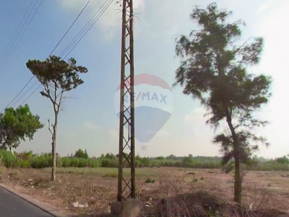R9-3550 Land for Sale in Akkar – 24,000 m², Near Klaayaat Airport أرض للبيع في عكار – 24,000 م²، بالقرب من مطار القليعات — Photo 5 of 5