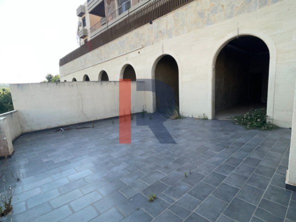 الصورة 1 من 13