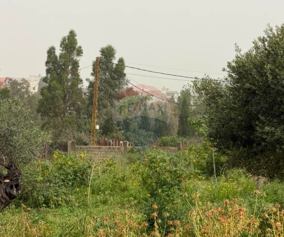 R9-3596 شقة للبيع في علما زغرتا – 200 م² — الصورة 8 من 9