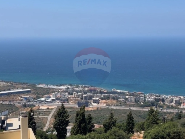 الصورة 1 من 14