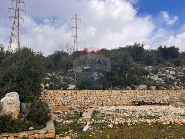 الصورة 1 من 3