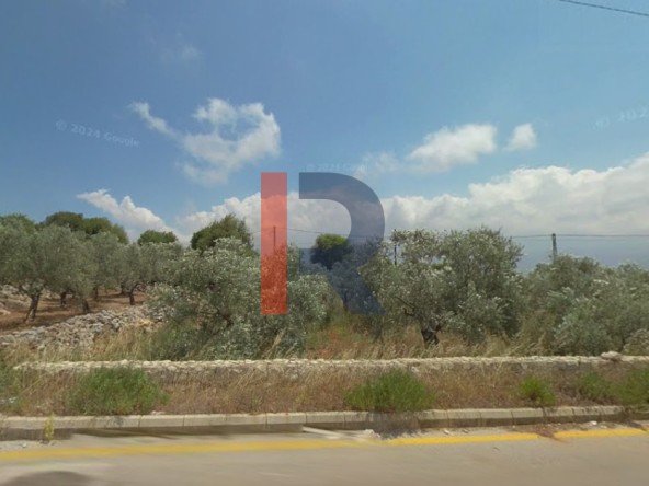 الصورة 1 من 4