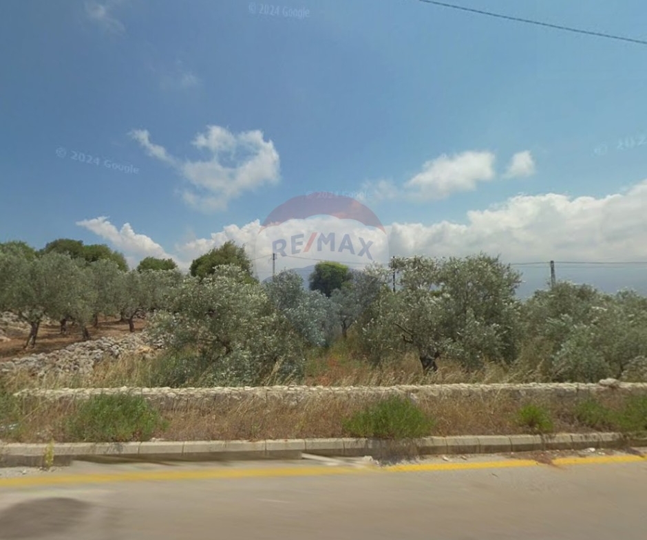 R9-3780 Land for Sale – Batroumine, Koura | 4,000 m²أرض للبيع – بترومين الكورة | 4,000 م² — Photo 2 of 3