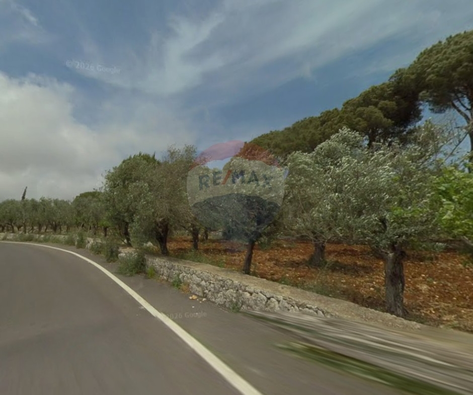 R9-3790 Land for Sale in Btorram – Koura, 4,000 m², Zoning 20/40, Residential أرض للبيع في بطرام الكورة – 4,000 م²، سكنية، تصنيف 20/40 — Photo 2 of 3
