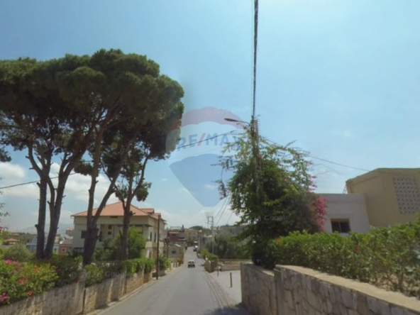 الصورة 1 من 3