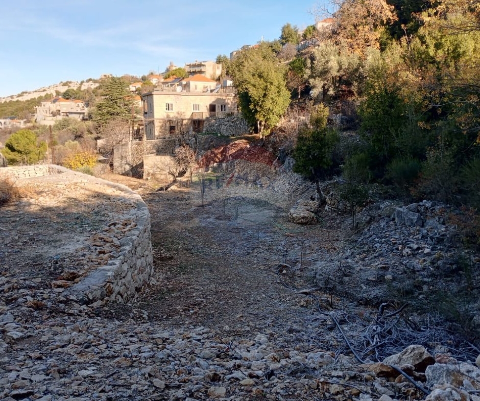 R9-3702 Land for Sale in Bchaaleh – Batroun, 850 m², Zoning 25/50 أرض للبيع في بشعليه البترون – 850 م²، تصنيف 25/50 — Photo 2 of 7