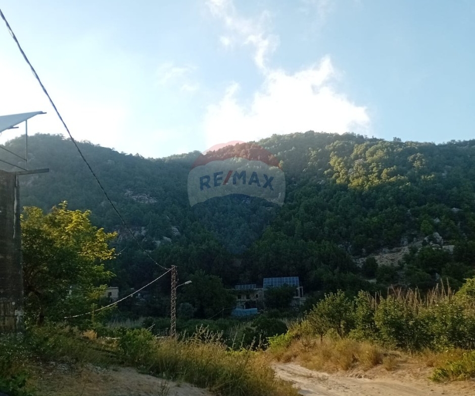 R9-3720 Land for Sale in Kahmez – Jbeil, 12,500 m², Pine Treesأرض للبيع في كحمز جبيل – 12,500 م²، مزروعة بالصنوبر — Photo 2 of 3