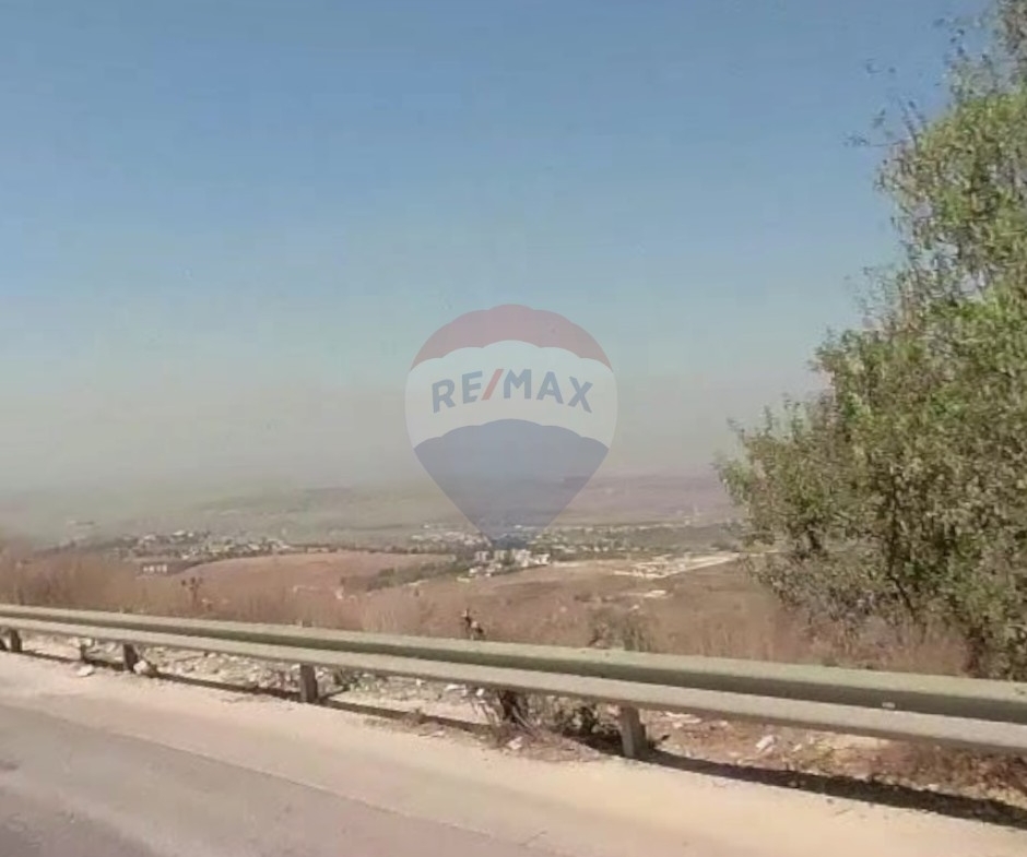 R9-3722 Land for Sale in Bireh – Akkar, 9500 m², Planted with Kina Treesأرض للبيع في بيره عكار – 9500 م²، مزروعة بأشجار كينا — Photo 2 of 3