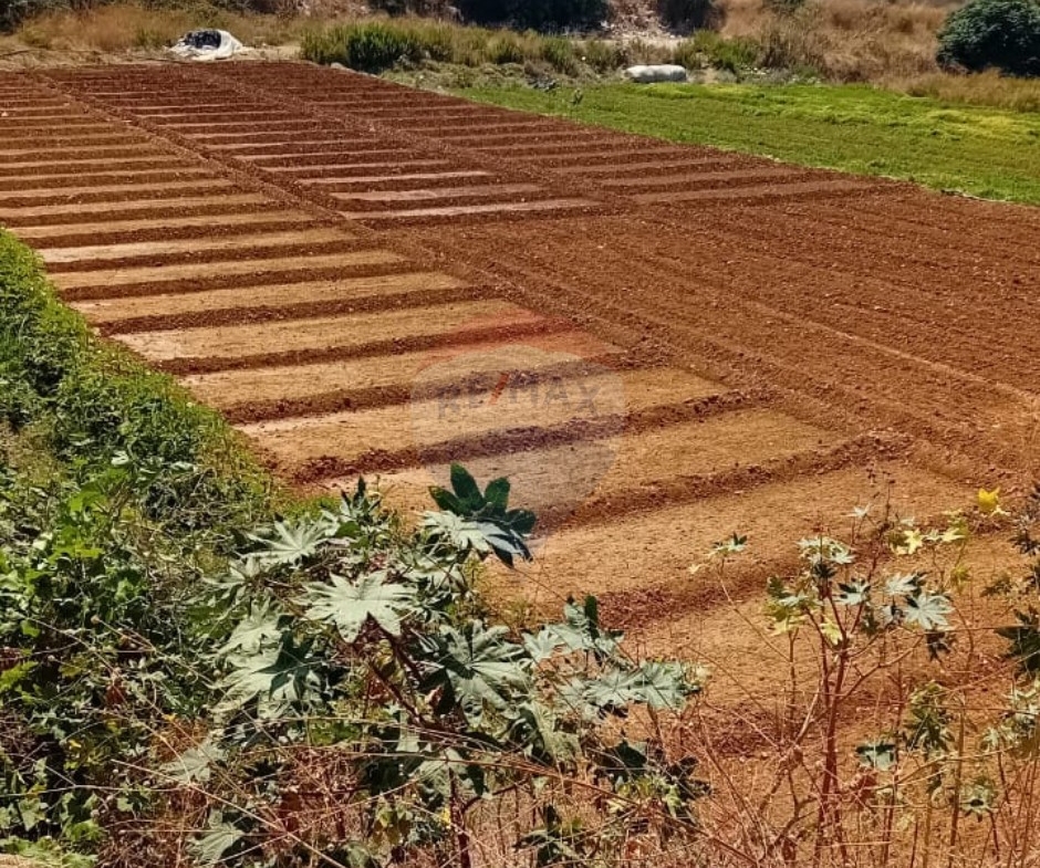 R9-3725 Two Connected Lands for Rent in Shouaifat – Mount Lebanon, 5764 m²قطعتان أرض للايجار في الشويفات جبل لبنان – 5764 م² — Photo 2 of 2
