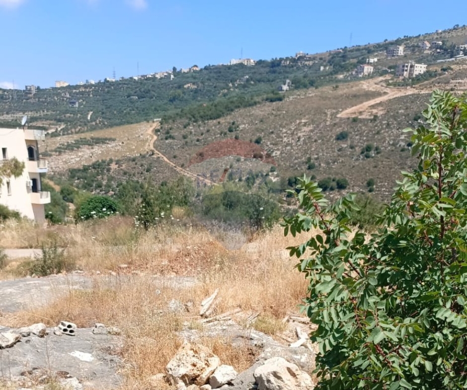 R9-3727  أرض للبيع في بنهران الكورة – 4200 م² — الصورة 2 من 3