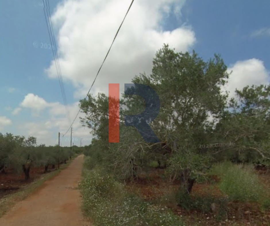R9-3729 Land for Sale in Nakhleh – Koura, 1778 m², Zoning 20/40أرض للبيع في نخلة الكورة – 1778 م²، تصنيف 20/40 — Photo 2 of 3