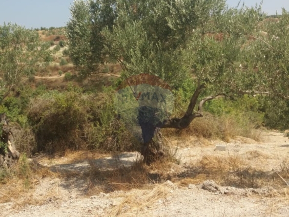 R9-3764 Land for Sale in Aabra – Saida, 2,365 m², Zoning 15% أرض للبيع في عبرا صيدا – 2,365 م²، تصنيف %15 — Photo 2 of 6