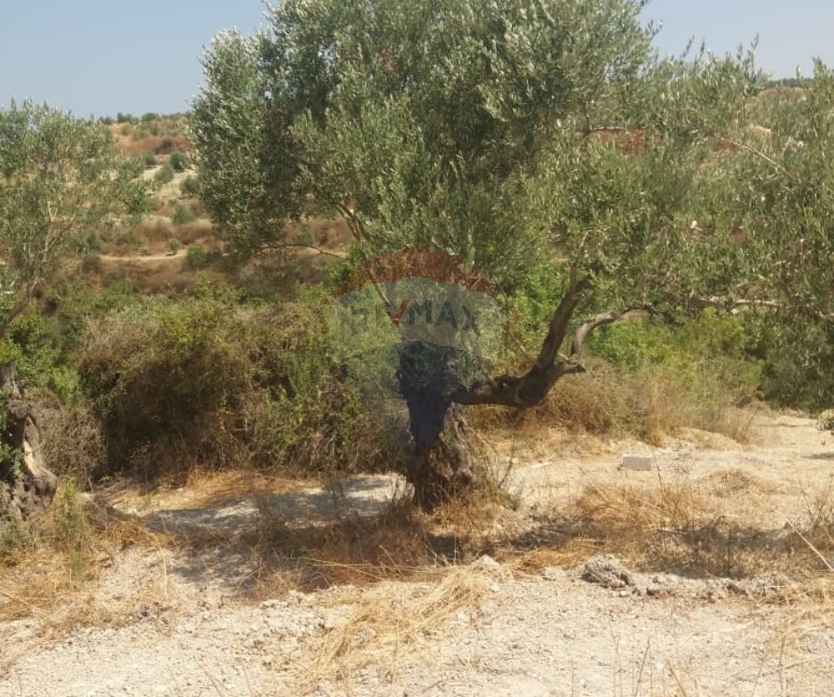 R9-3764 Land for Sale in Aabra – Saida, 2,365 m², Zoning 15% أرض للبيع في عبرا صيدا – 2,365 م²، تصنيف %15 — Photo 2 of 6