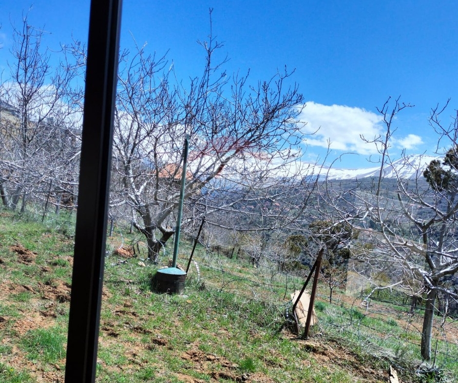 R9-3708 Land with Building for Sale in Hadath El Jebbeh – Bcharre, 3 Floorsأرض مع بناء للبيع في حدث الجبة بشري – 3 طوابق — Photo 3 of 7