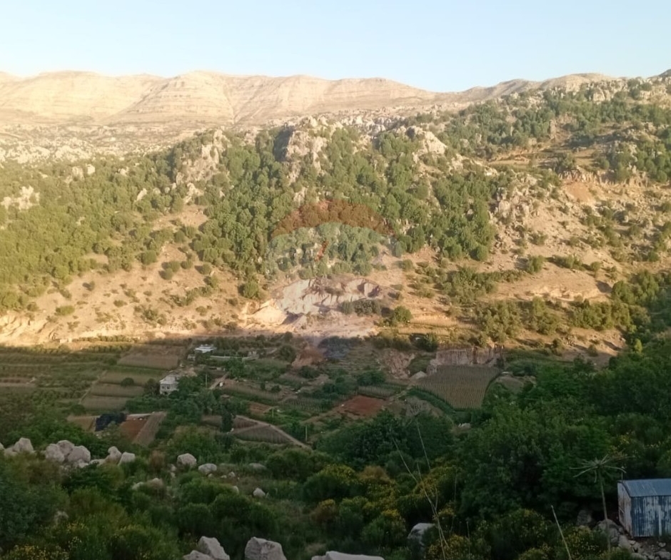 R9-3720 Land for Sale in Kahmez – Jbeil, 12,500 m², Pine Treesأرض للبيع في كحمز جبيل – 12,500 م²، مزروعة بالصنوبر — Photo 3 of 3