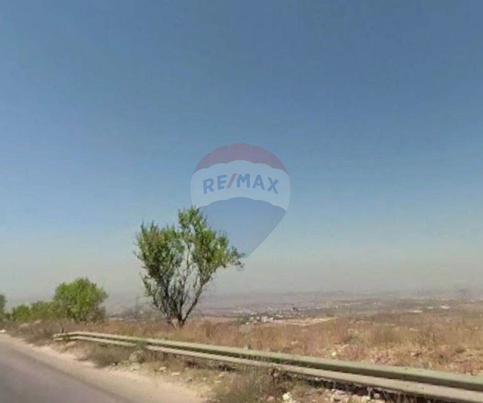 R9-3722 Land for Sale in Bireh – Akkar, 9500 m², Planted with Kina Treesأرض للبيع في بيره عكار – 9500 م²، مزروعة بأشجار كينا — Photo 3 of 3