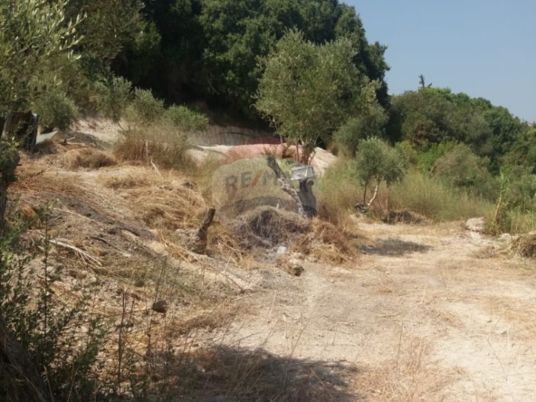 R9-3764 Land for Sale in Aabra – Saida, 2,365 m², Zoning 15% أرض للبيع في عبرا صيدا – 2,365 م²، تصنيف %15 — Photo 3 of 6