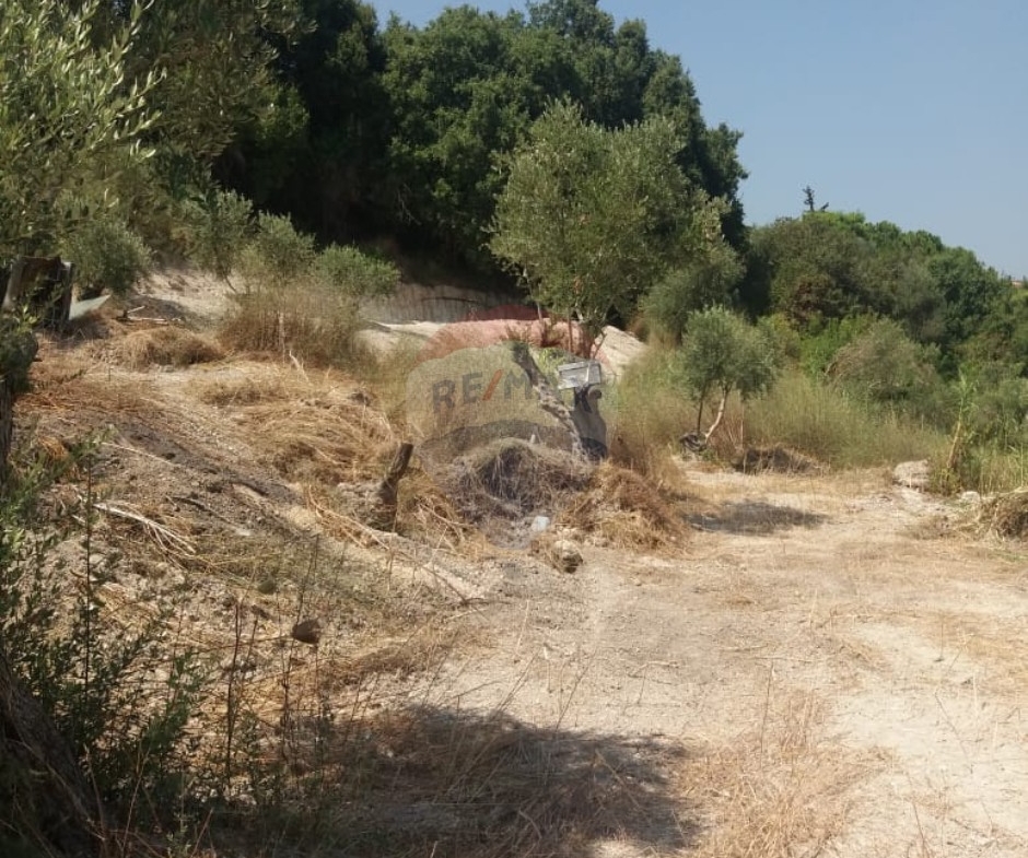 R9-3764 Land for Sale in Aabra – Saida, 2,365 m², Zoning 15% أرض للبيع في عبرا صيدا – 2,365 م²، تصنيف %15 — Photo 3 of 6