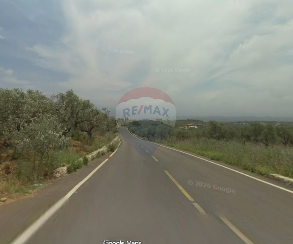 R9-3790 Land for Sale in Btorram – Koura, 4,000 m², Zoning 20/40, Residential أرض للبيع في بطرام الكورة – 4,000 م²، سكنية، تصنيف 20/40 — Photo 3 of 3