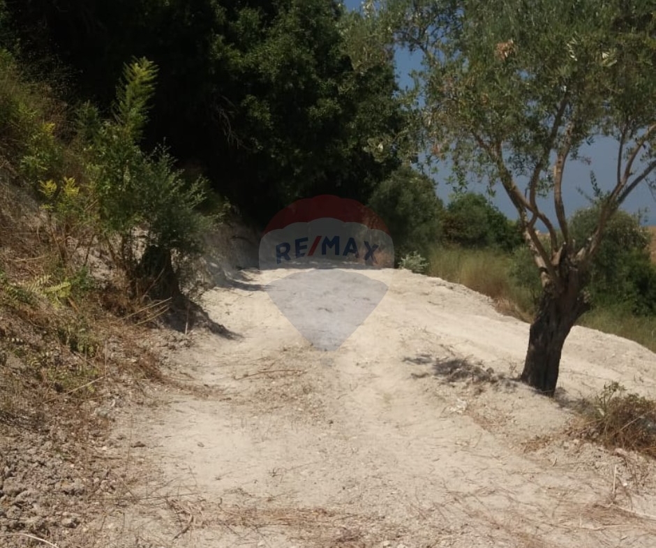 R9-3764 Land for Sale in Aabra – Saida, 2,365 m², Zoning 15% أرض للبيع في عبرا صيدا – 2,365 م²، تصنيف %15 — Photo 4 of 6