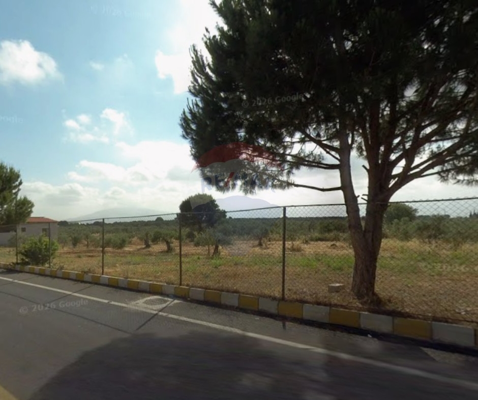 R9-3791 Land for Sale in Deddeh – Koura, 10,800 m², Zoning 20/40, Residentialأرض للبيع في دده الكورة – 10,800 م²، سكنية، تصنيف 20/40 — Photo 3 of 3