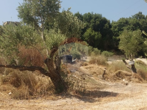 R9-3764 Land for Sale in Aabra – Saida, 2,365 m², Zoning 15% أرض للبيع في عبرا صيدا – 2,365 م²، تصنيف %15 — Photo 5 of 6