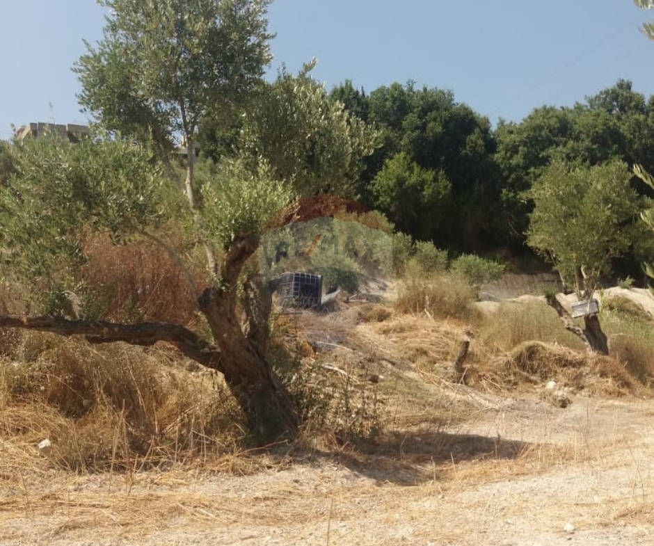 R9-3764 Land for Sale in Aabra – Saida, 2,365 m², Zoning 15% أرض للبيع في عبرا صيدا – 2,365 م²، تصنيف %15 — Photo 5 of 6