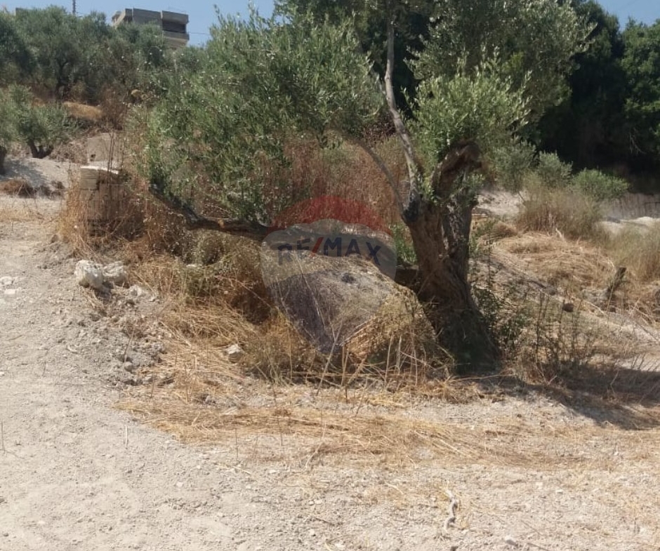R9-3764 Land for Sale in Aabra – Saida, 2,365 m², Zoning 15% أرض للبيع في عبرا صيدا – 2,365 م²، تصنيف %15 — Photo 6 of 6