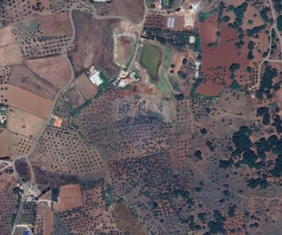 R9-3847 Agricultural Land for Sale in Amioun – Koura, with Olive Treesأرض زراعية للبيع في أميون – الكورة، مزروعة بـ 20 شجرة زيتون — Photo 1 of 4