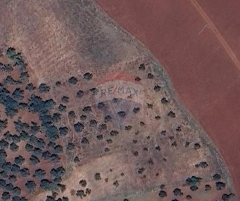 R9-3881 Land for Sale in Bterram – Koura, 7,256 m², Zoning 30/60 أرض للبيع في بطرام – الكورة، 7,256 م²، تنظيم 30/60 — Photo 1 of 4