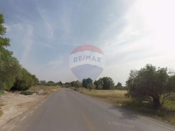 R9-3819  Land for Sale in Btorram – Koura, 1,550 m², Zoning 20/40 أرض للبيع في بطرام – الكورة، 1,550 م²، تصنيف 20/40 — Photo 4 of 5