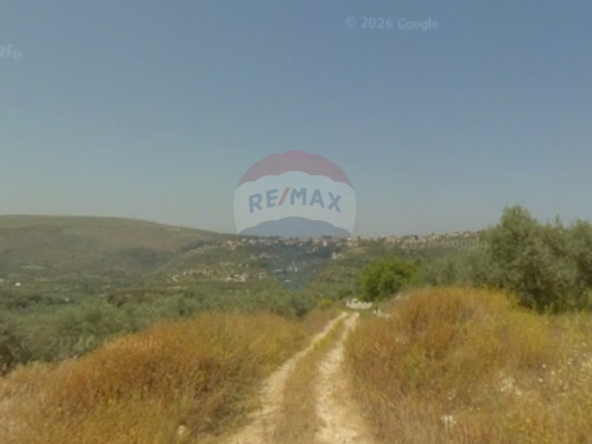 R9-3821 أرض للبيع في بزيزا – الكورة، 20,000 م²، زراعية وسكنية — الصورة 2 من 5