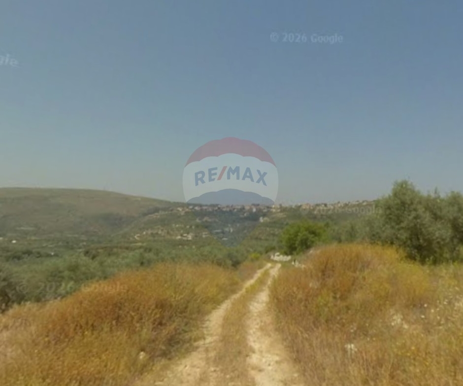 R9-3821 أرض للبيع في بزيزا – الكورة، 20,000 م²، زراعية وسكنية — الصورة 2 من 5