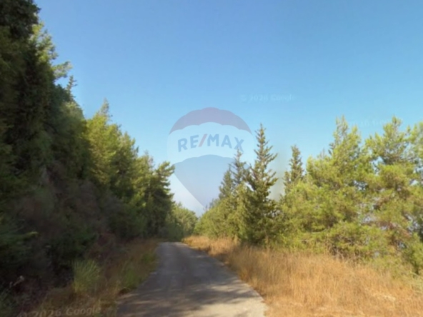 R9-3829 Land for Sale in Keserwan – Mount Lebanon, 1,200 m², Zoning 30/60أرض للبيع في كسروان – جبل لبنان، 1,200 م²، تصنيف 30/60 — Photo 2 of 5