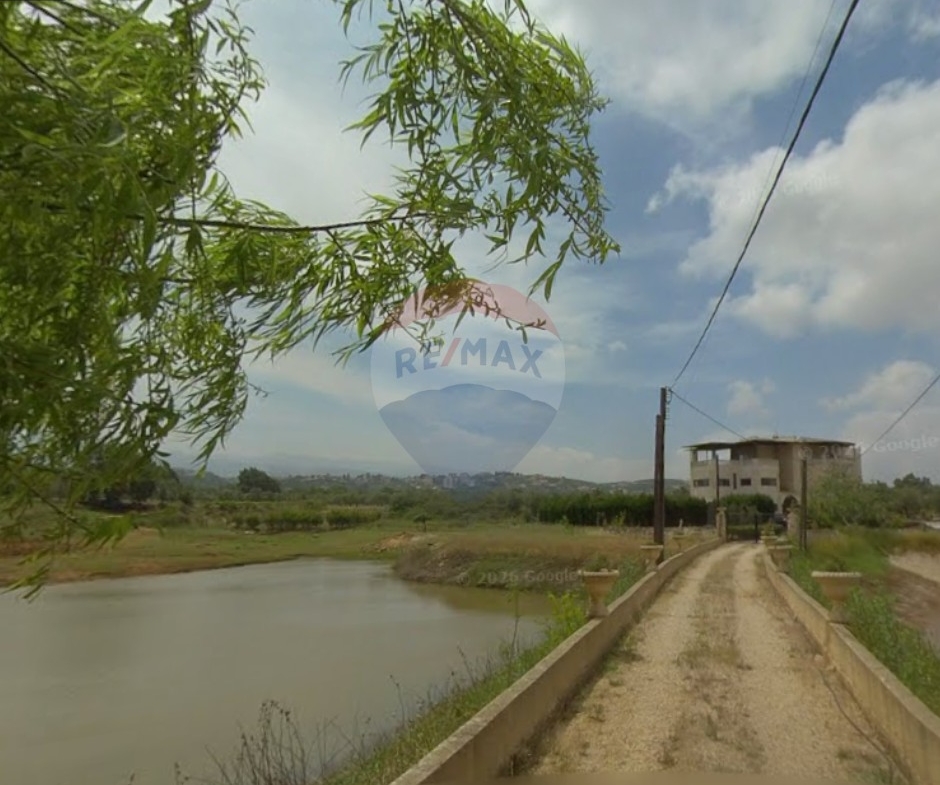 R9-3847 Agricultural Land for Sale in Amioun – Koura, with Olive Treesأرض زراعية للبيع في أميون – الكورة، مزروعة بـ 20 شجرة زيتون — Photo 2 of 4