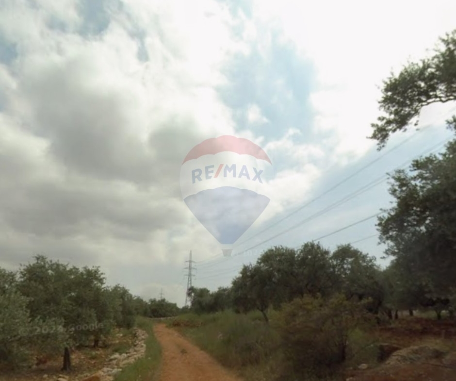 R9-3852 Land for Sale in Biqaa – Koura, 1,821 m², Residential Zoning 25/50أرض للبيع في بقيعة – الكورة، 1,821 م²، تصنيف سكني 25/50 — Photo 2 of 4