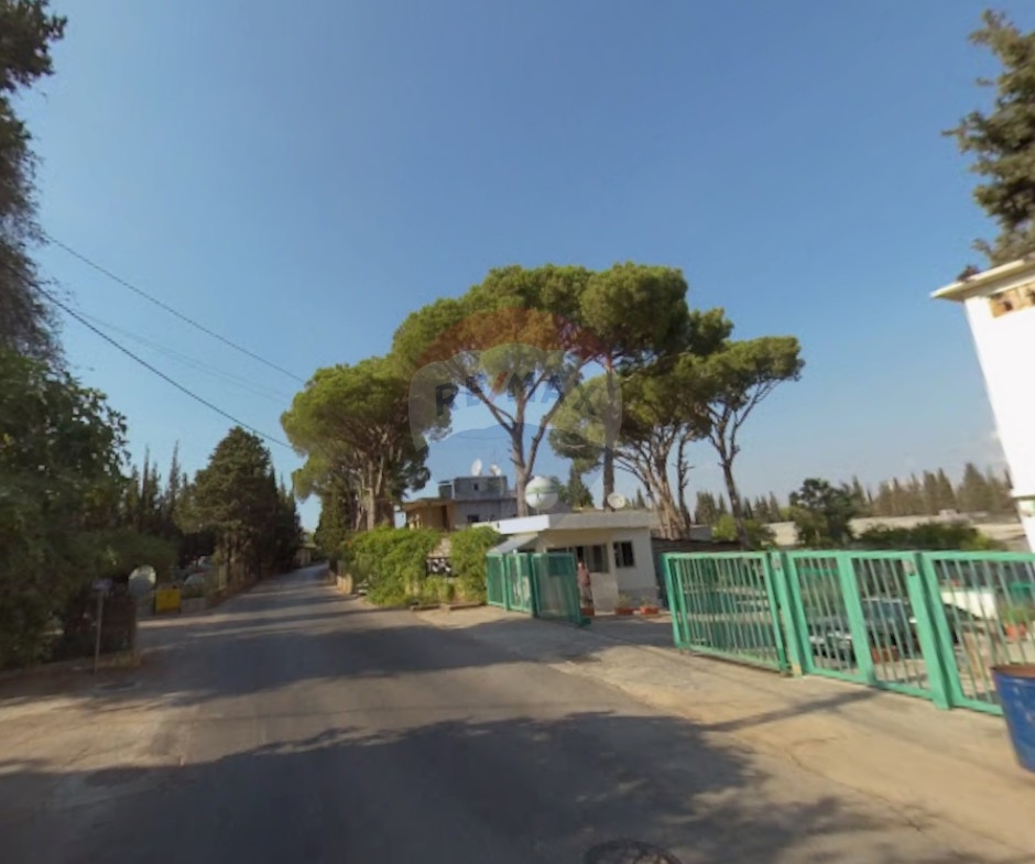 R9-3881 Land for Sale in Bterram – Koura, 7,256 m², Zoning 30/60 أرض للبيع في بطرام – الكورة، 7,256 م²، تنظيم 30/60 — Photo 2 of 4