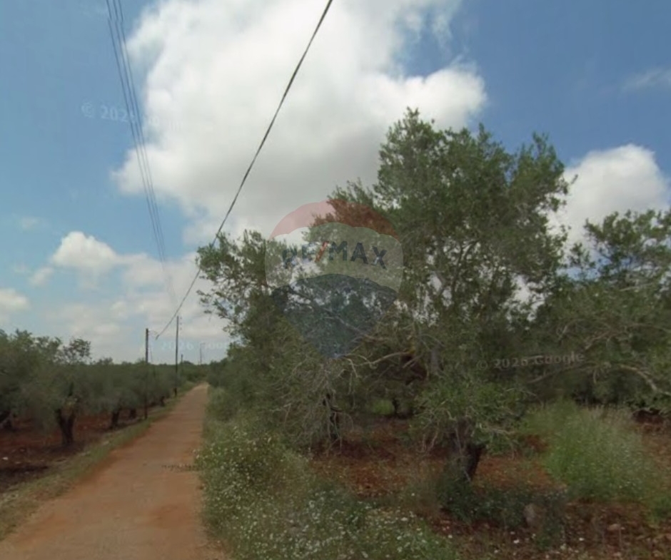 R9-3894 Land for Sale in Nakhleh – Koura, 2179 m², Zoning 20/40 أرض للبيع في نخلة – الكورة، 2179 م²، تنظيم 20/40 — Photo 2 of 3