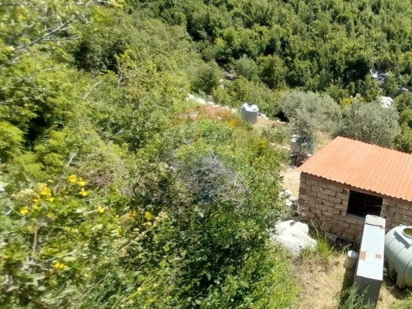 R9-3813  Land for Sale in Hadtoun – Keserwan, 1,565 m², Agriculturalأرض للبيع في حدتون – كسروان، 1,565 م²، زراعية — Photo 3 of 7