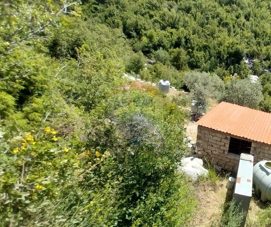 R9-3813  Land for Sale in Hadtoun – Keserwan, 1,565 m², Agriculturalأرض للبيع في حدتون – كسروان، 1,565 م²، زراعية — Photo 3 of 7