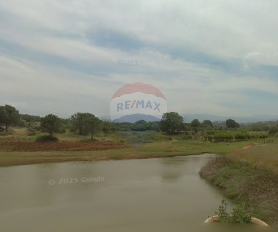 R9-3847 Agricultural Land for Sale in Amioun – Koura, with Olive Treesأرض زراعية للبيع في أميون – الكورة، مزروعة بـ 20 شجرة زيتون — Photo 3 of 4